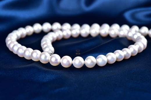 【淡雅】淡水珍珠项链-ZZ240601901 商品图7