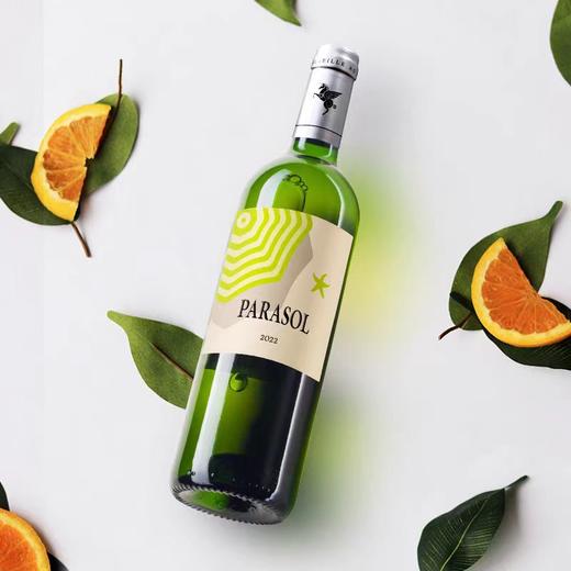 翡马太阳伞白葡萄酒 商品图1