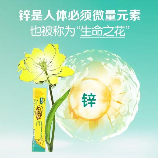 迪巧小黄条婴幼儿童液体钙锌 赖氨酸锌口服液0-18岁20条 商品图2