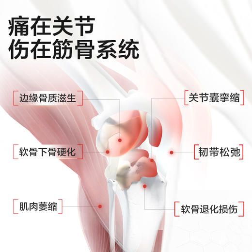 卫仕筋骨魔方鲨鱼软骨素狗狗专用关节钙片泰迪金毛宠物补钙 商品图2