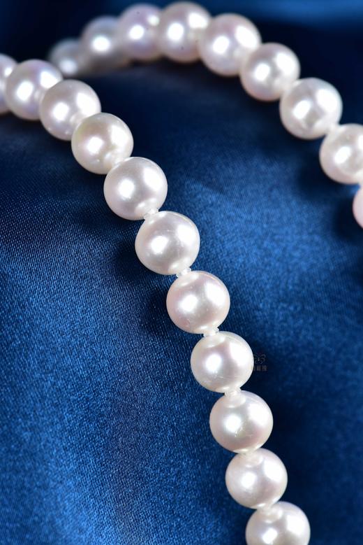 【淡雅】淡水珍珠项链-ZZ240601901 商品图5