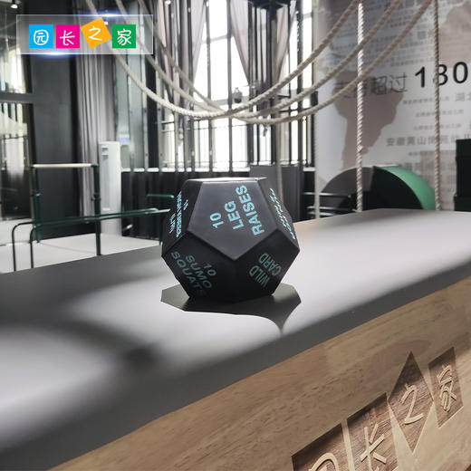 体能训练器材运动骰子筛子 商品图3