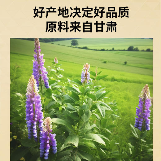 【正宗同仁堂品牌】北京同仁堂 青源堂 甘草片250克 甘肃原产地 回味甘甜 色泽自然SY 商品图1