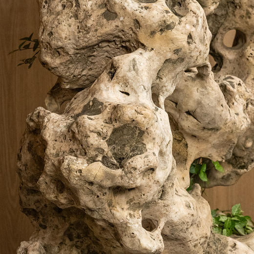 清 太湖石园林赏石 商品图2