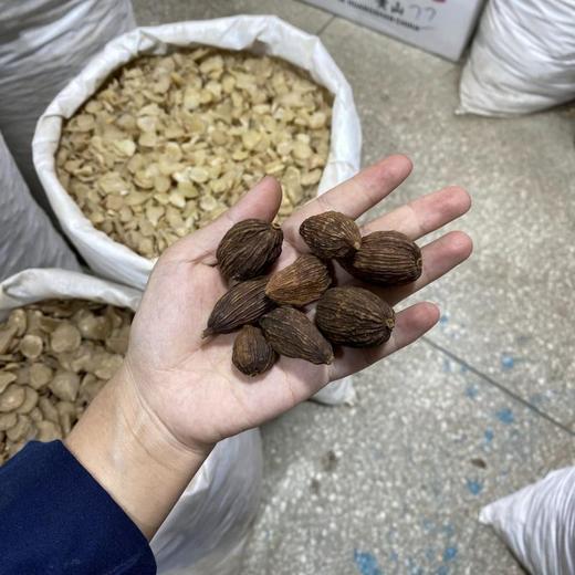 草果 当季新货 农家自采 中药材 商品图4