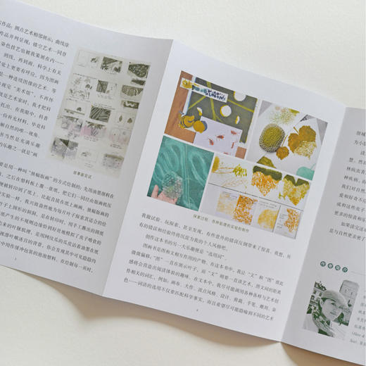 虫虫艺术家  自然科普与艺术启蒙图画书 商品图4