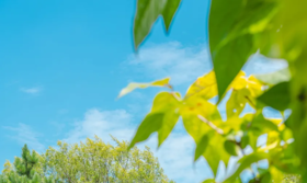 性格好不好，看衣服颜色就知道！