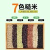 东北七色五谷杂粮 商品缩略图2