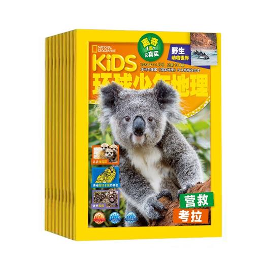 【6-12岁】Kids环球少年地理少儿版  2025年跨年刊 商品图1