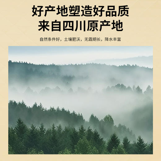 【正宗同仁堂品牌】北京同仁堂 青源堂 乌梅280克 颗粒饱满 酸爽可口SY 商品图1