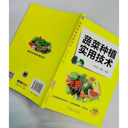 蔬菜种植实用技术   刘中良 武良(刘中良  武良) 商品图2