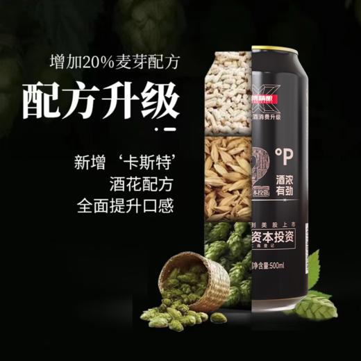 【轩博大牌 自然浑厚 麦香十足】精酿黄金版+大师（500ml*12+2L*1大师）秒杀工业啤酒 商品图5