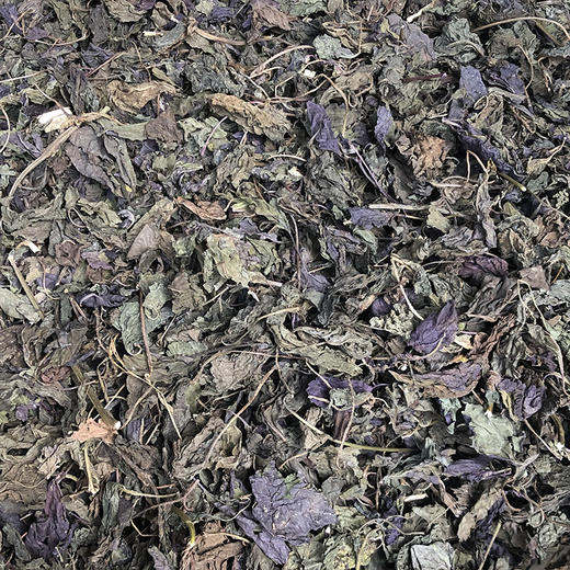 紫苏叶  紫苏梗  苏叶 商品图2