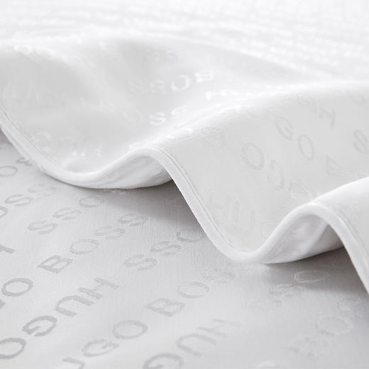 HUGO BOSS 提花LOGO桑蚕丝被 HBCS-008 商品图2