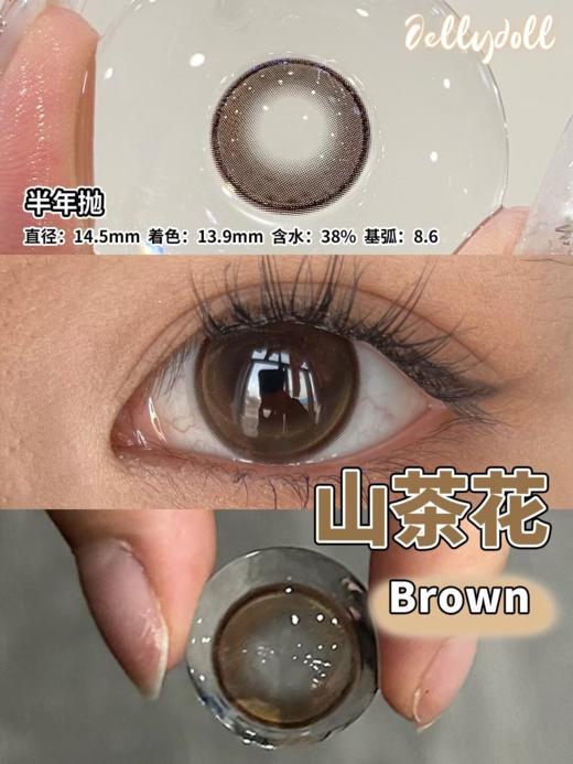 Jellydoll 半年抛 山茶花/害羞草/秘境蓝 14.5mm 巧棕/黑紫/蓝 拍下即为一副两片 商品图1