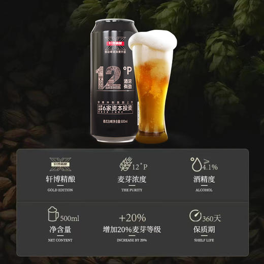 【轩博大牌 自然浑厚 麦香十足】精酿黄金版+大师（500ml*12+2L*1大师）秒杀工业啤酒 商品图3