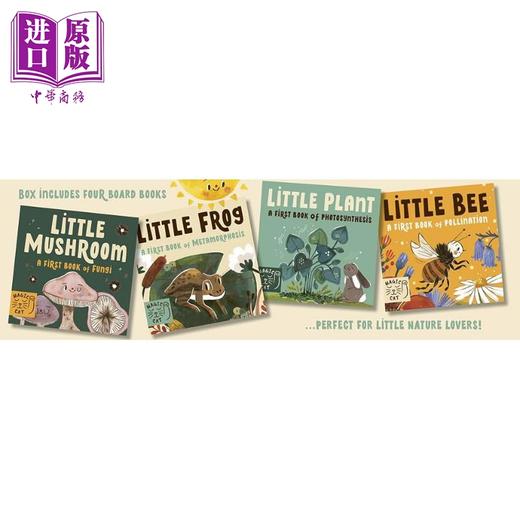 【中商原版】5分钟小自然故事4册纸板书盒装 Mona K 5 Minute Nature Story Box 英文原版 儿童纸板绘本 亲子图画书 早教认知 商品图1