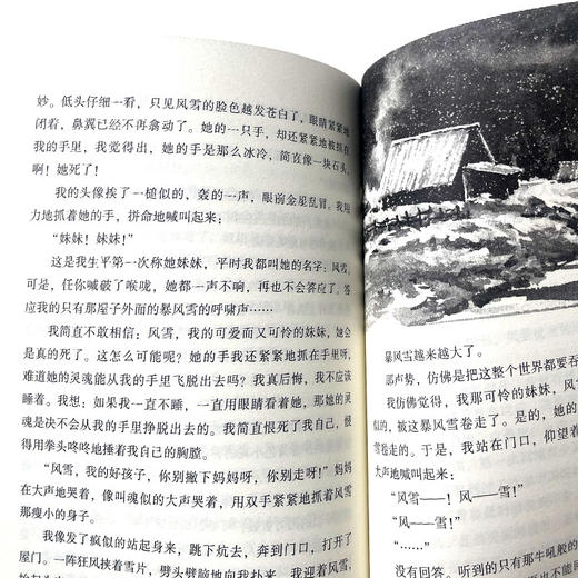 第一场雪：课文作家作品，小学语文教材同步配套读物（五年级上册）(峻青) 商品图4