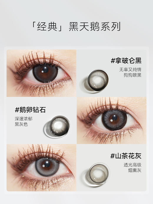 【swancon半年抛】黑天鹅美瞳隐形眼镜正品官网旗舰店 商品图4