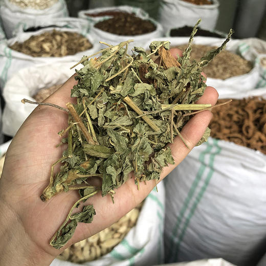 仙鹤草 商品图2