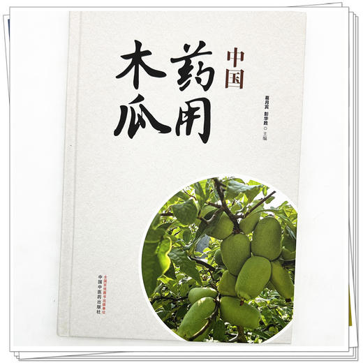 中国药用木瓜 葛月宾 彭华胜 主编 中国中医药出版社 商品图3