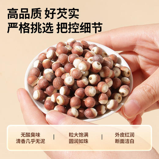 【正宗同仁堂品牌】北京同仁堂 青源堂 芡实500克 粒大饱满 清香软糯SY 商品图3