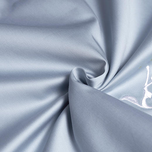 【6F】富安娜素绣床单四件/达芬奇系列·达芬奇密码 商品图10