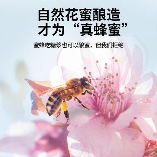 【正宗同仁堂品牌】北京同仁堂 蜂蜜吉礼900克礼盒（蜂蜜300克，洋槐蜂蜜300克，椴树蜂蜜300克）原料纯粹 拒绝添加 便携易使用SY 商品图1