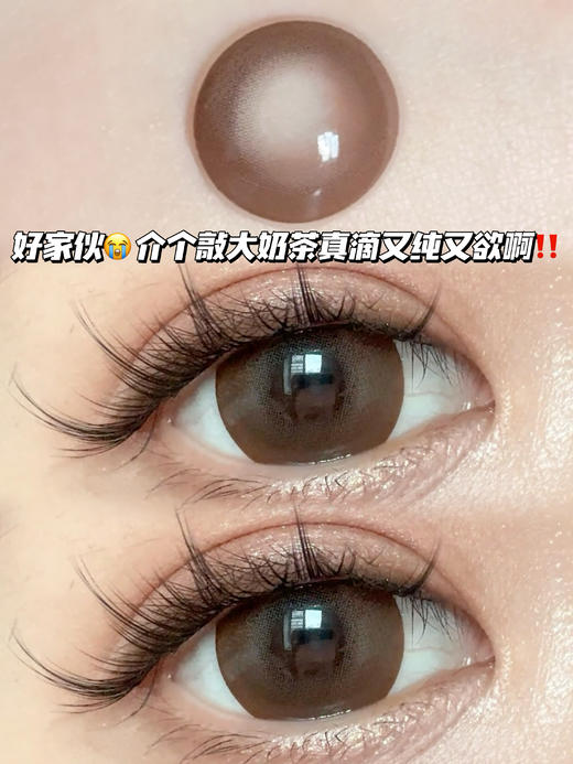 ginger 金姜奶茶棕·半年抛 商品图1