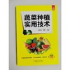 蔬菜种植实用技术   刘中良 武良(刘中良  武良) 商品缩略图1