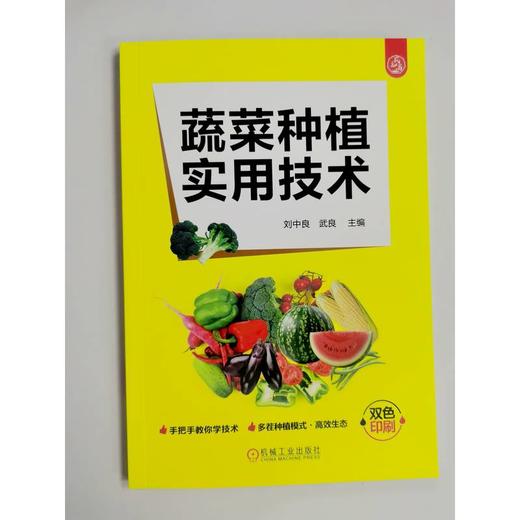 蔬菜种植实用技术   刘中良 武良(刘中良  武良) 商品图1