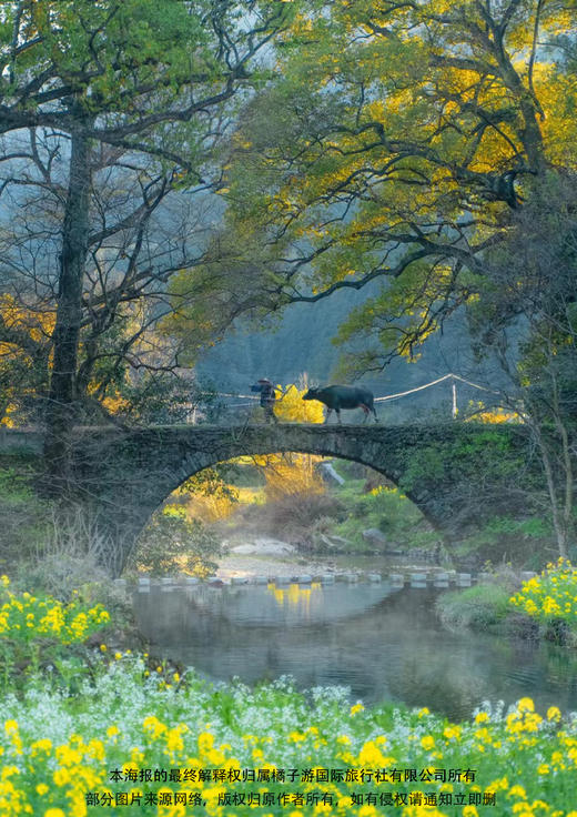 【秀美江西】双动 5 天 商品图2