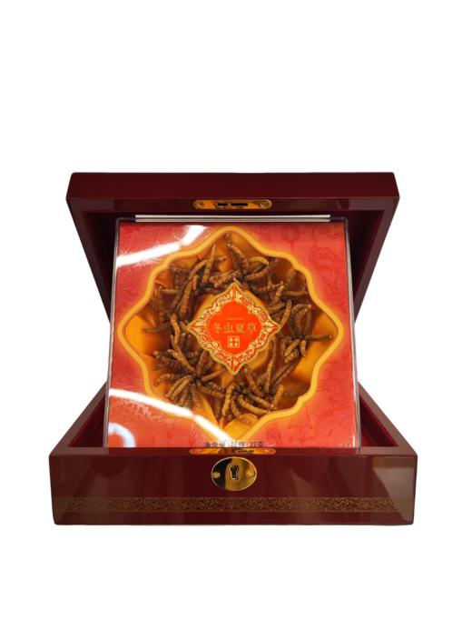 B1F 香港启泰冬虫夏草    规格：22g 商品图0