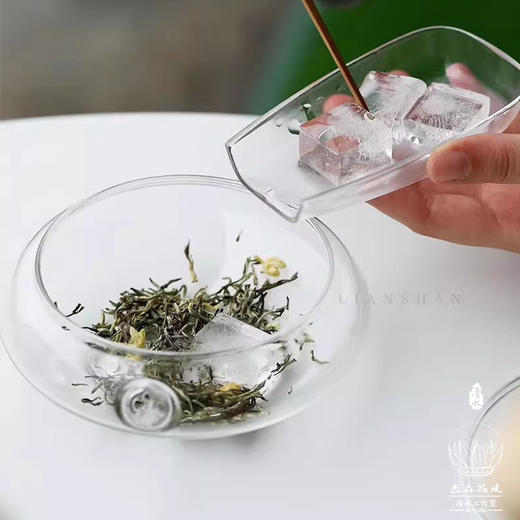 淼森花境丨玻璃冷萃茶壶围炉冰茶冷泡壶耐热绿茶壶女士花茶壶夏季冰茶泡茶碗 商品图2