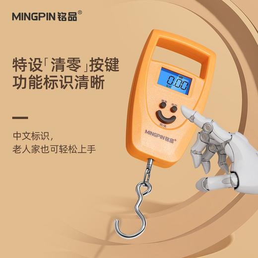 迷你称手提秤50KG电子秤家用吊钩精准称重100斤快递称弹簧称 商品图4