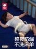 BBC 皇室狮子王国/山茶花 单片装 商品缩略图1
