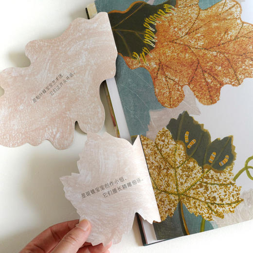 虫虫艺术家  自然科普与艺术启蒙图画书 商品图2