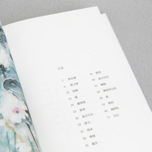 在夏天（挪威）卡尔·奥韦·克瑙斯高 著 商品图4