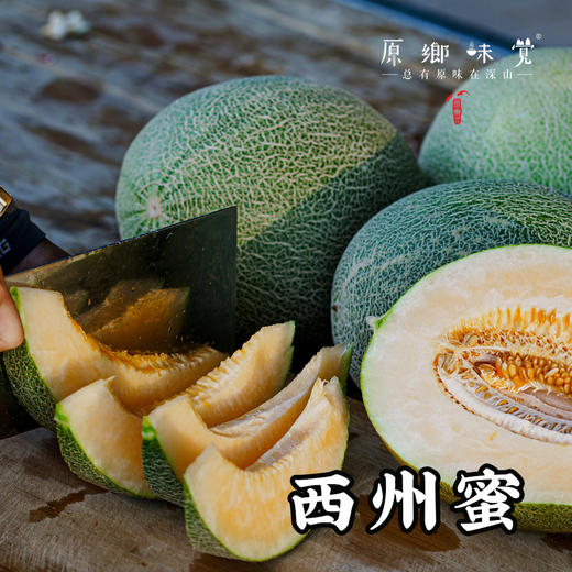 【预售，预计7.5日左右开始发货】阿拉善生态蜜瓜（基地直发-顺丰包邮） | 来自内蒙古阿拉善致良田，生产者：马彦伟，【合作生产，公平贸易】 商品图5