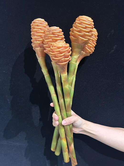 荷兰进口高端花材小熊维尼蜂蜜棒香波姜 商品图5