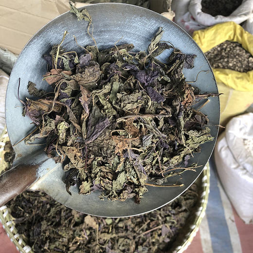 紫苏叶  紫苏梗  苏叶 商品图4