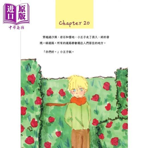 【中商原版】小王子 畅销80年法文直译全新插画版 Le Petit Prince 港台原版 安东尼 圣修伯里 布克文化 商品图4