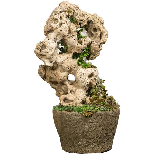 清 太湖石园林赏石 商品图5