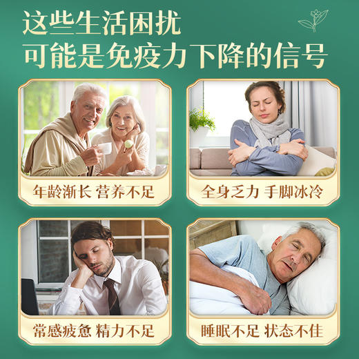 森兰康牌铁皮石斛颗粒100包 商品图4