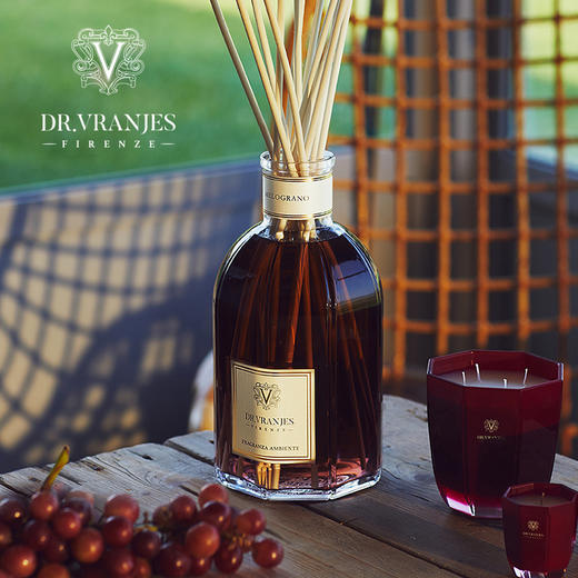 【井柏然 丁禹兮同款】Dr.Vranjes红酒贵族无火香薰香氛喷雾 商品图7