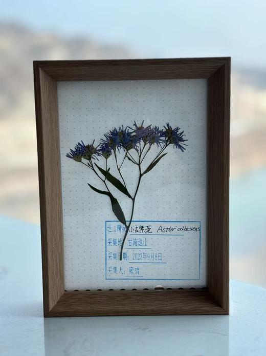 【迭山百年探险考察录】自然博物书籍礼盒套装 商品图5