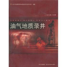油气地质录井  杜尚明  四川科学技术出版社  9787536458789