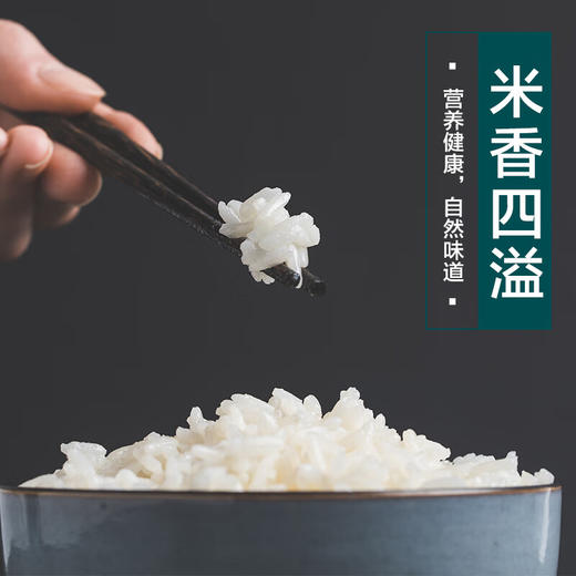 食分碗美五常米/东北长粒香  15斤/20斤 商品图7