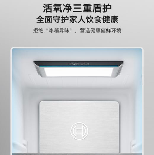 博世（BOSCH）637L活氧净版双开门对开门变频冰箱家用智能精控恒温 活氧净 制冷双循环 晶御智能 气密保鲜空间 玻璃/星际灰 K6A99AA59C 商品图2