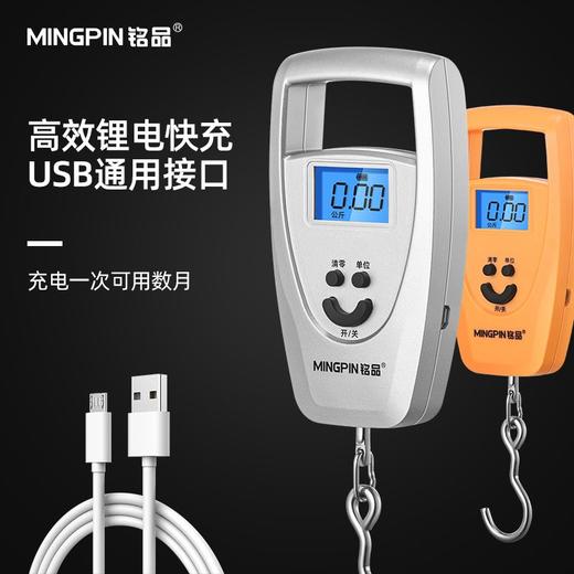 迷你称手提秤50KG电子秤家用吊钩精准称重100斤快递称弹簧称 商品图7